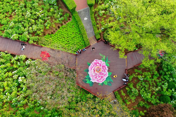 豫見高端，洛賞牡丹，錯過等一年