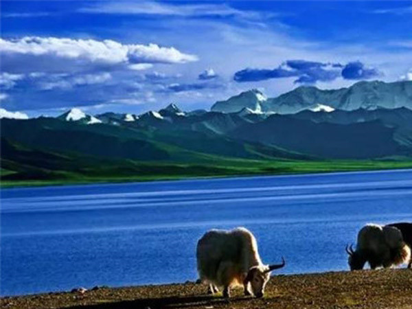 公司成功舉辦“慶元旦、迎新春”長跑比賽